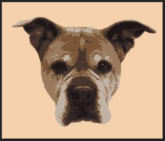 Dog Face Illustration